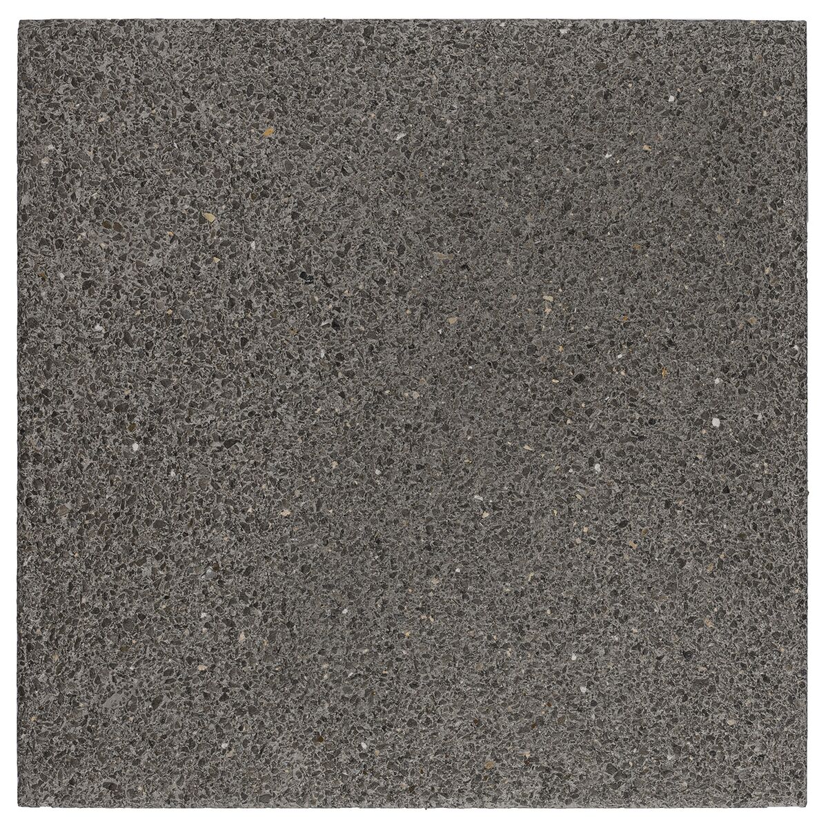 Terrastegel 40 x 40 x 3,9 cm Grijs - Met C-Protect