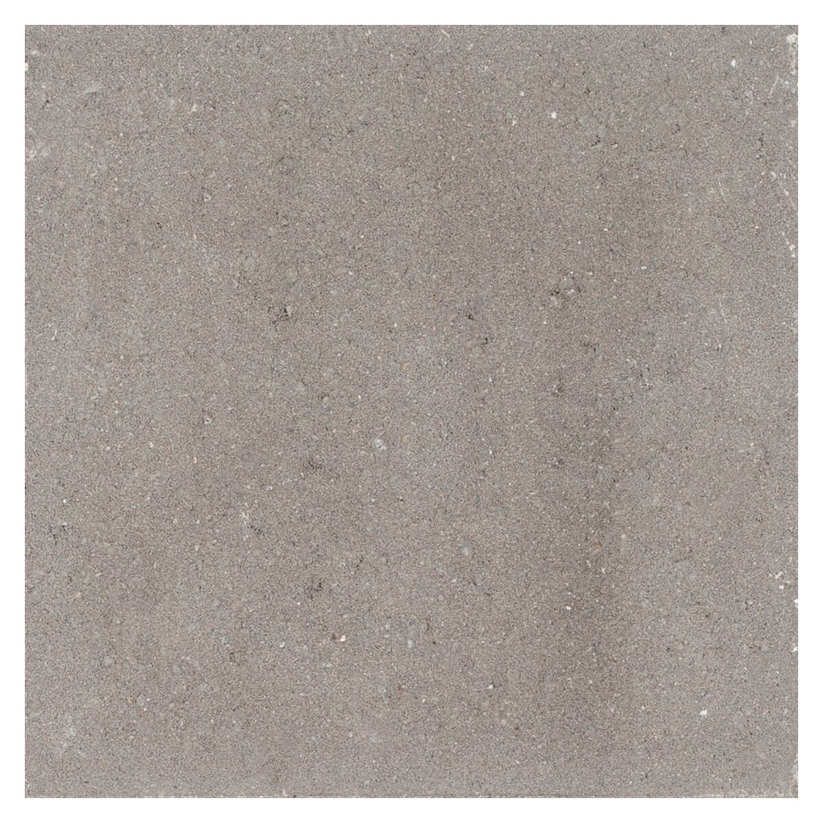 Dalle en béton 50 x 50 x 4,5 cm Gris