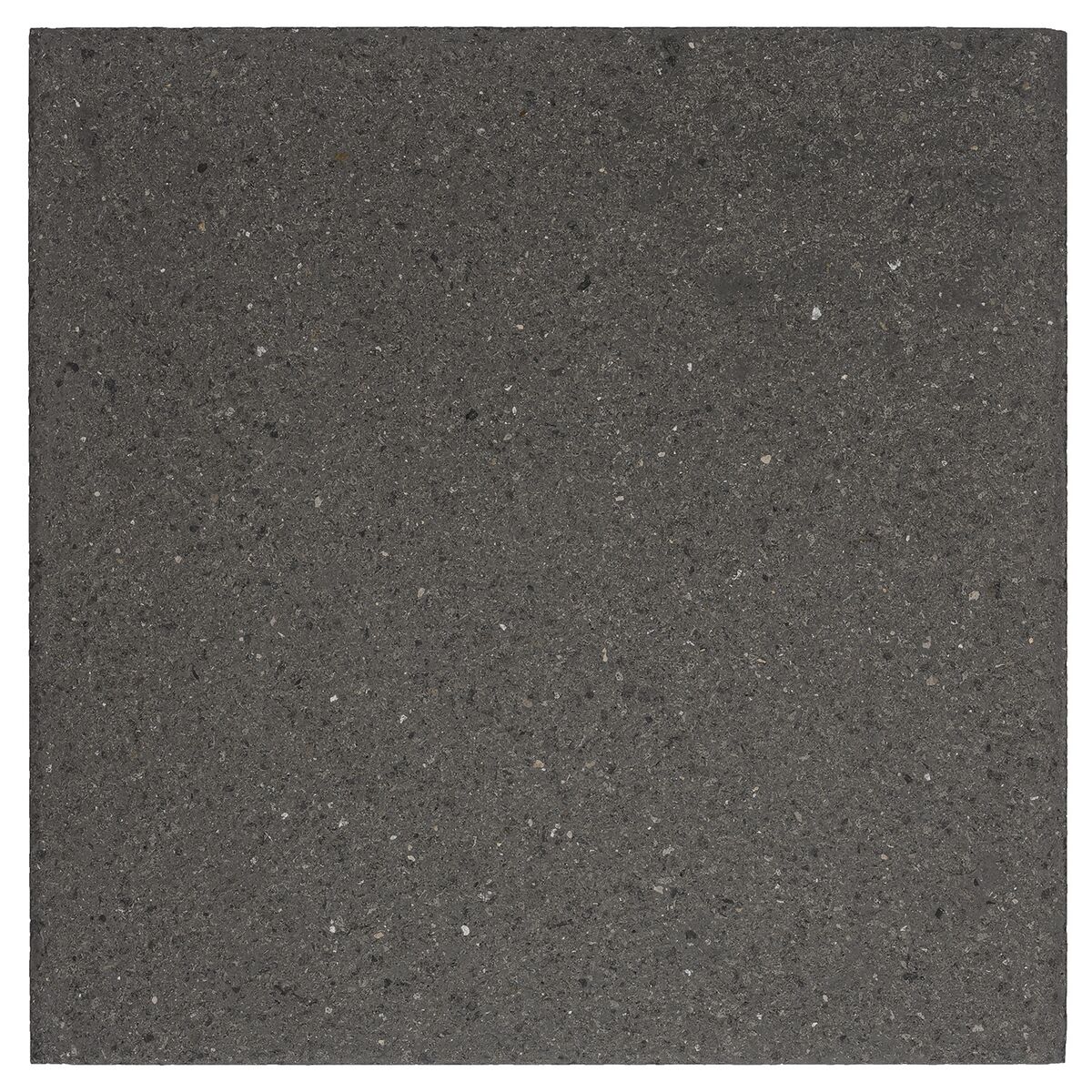 Terrastegel 40 x 40 x 3,9 cm Antraciet - Ongecoat