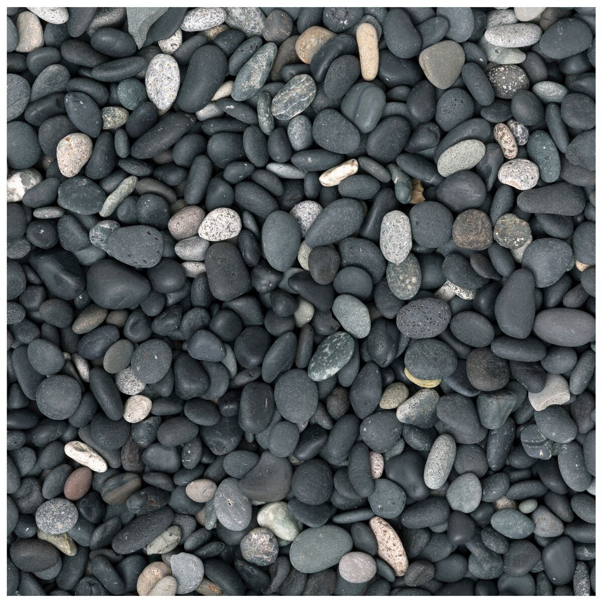 Beach pebbles 8-16 mm 20 kg