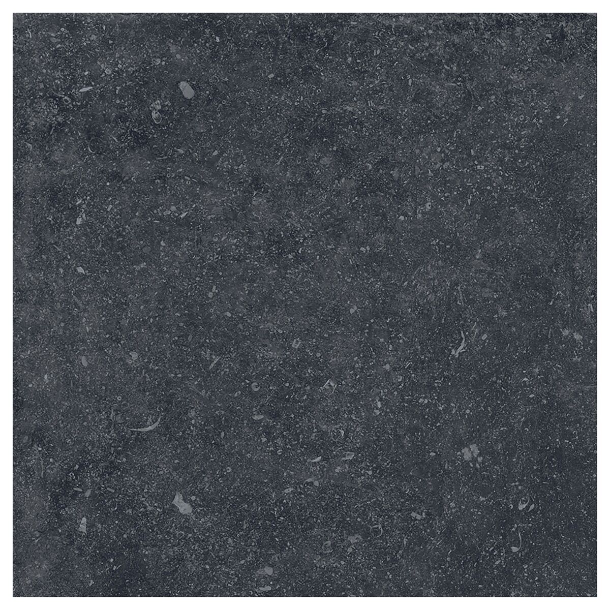 Terrastegel 60 x 60 cm Brussels Black 2 cm